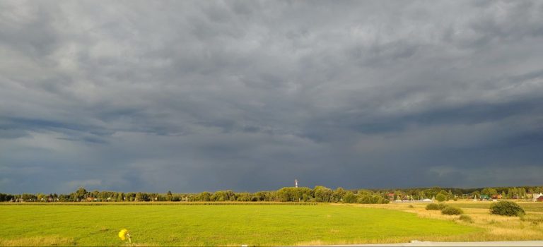 Рязанская область