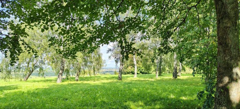 Рязанская область, с.Константиново