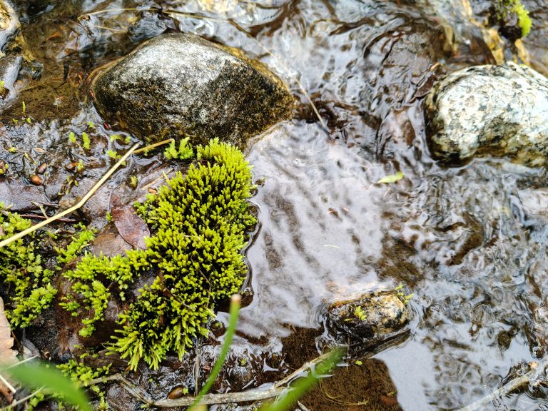 Мурманская область