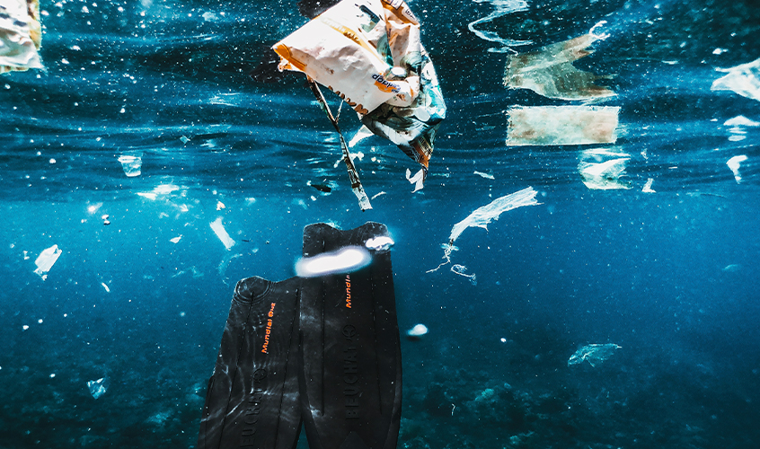 Проблема загрязнения водных экосистем пластиком