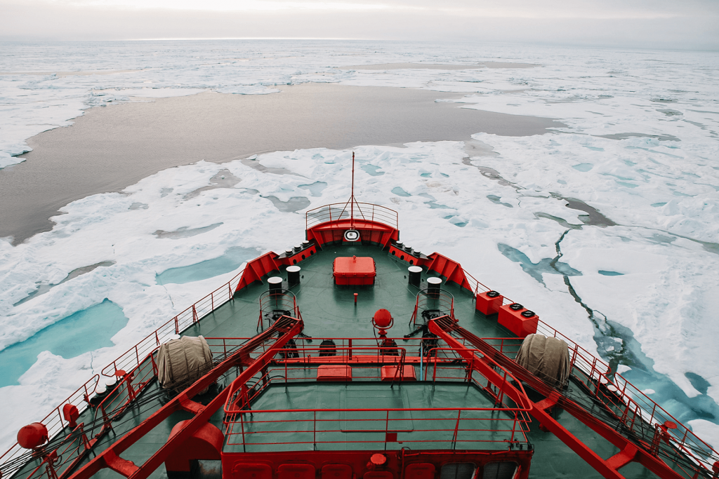 Заповедники Арктики: нетронутые земли Севера