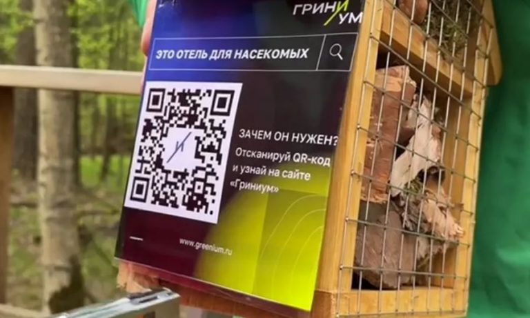 Отель для насекомых открылся в «Лосином острове»