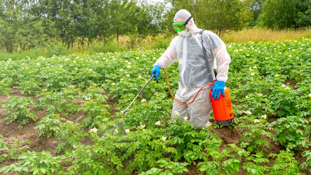 Пестициды: за и против
