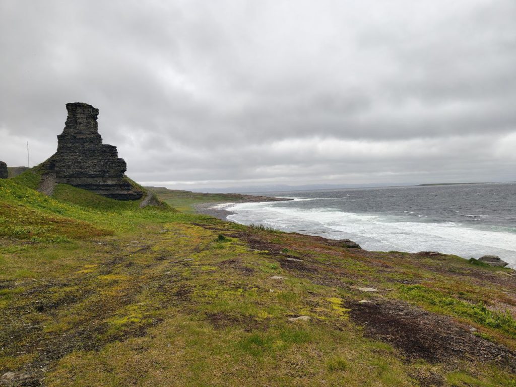 В поисках диковинных видов и исчезающих земель