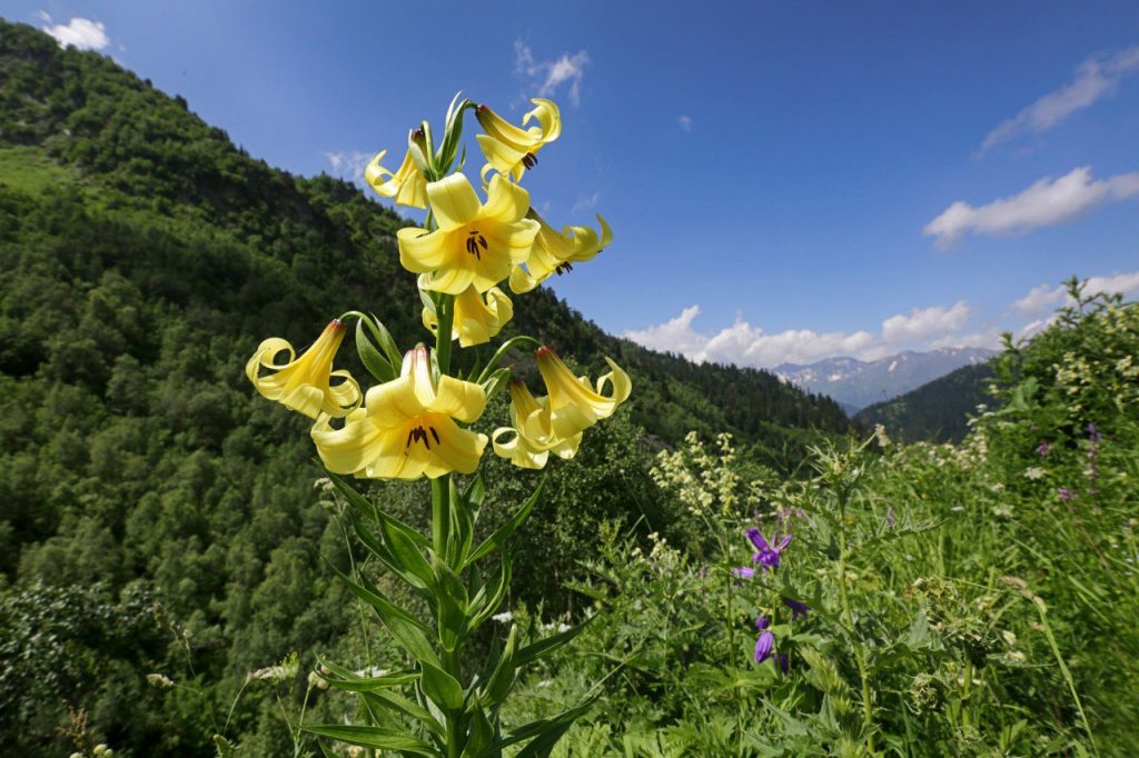 Ускользающий код жизни