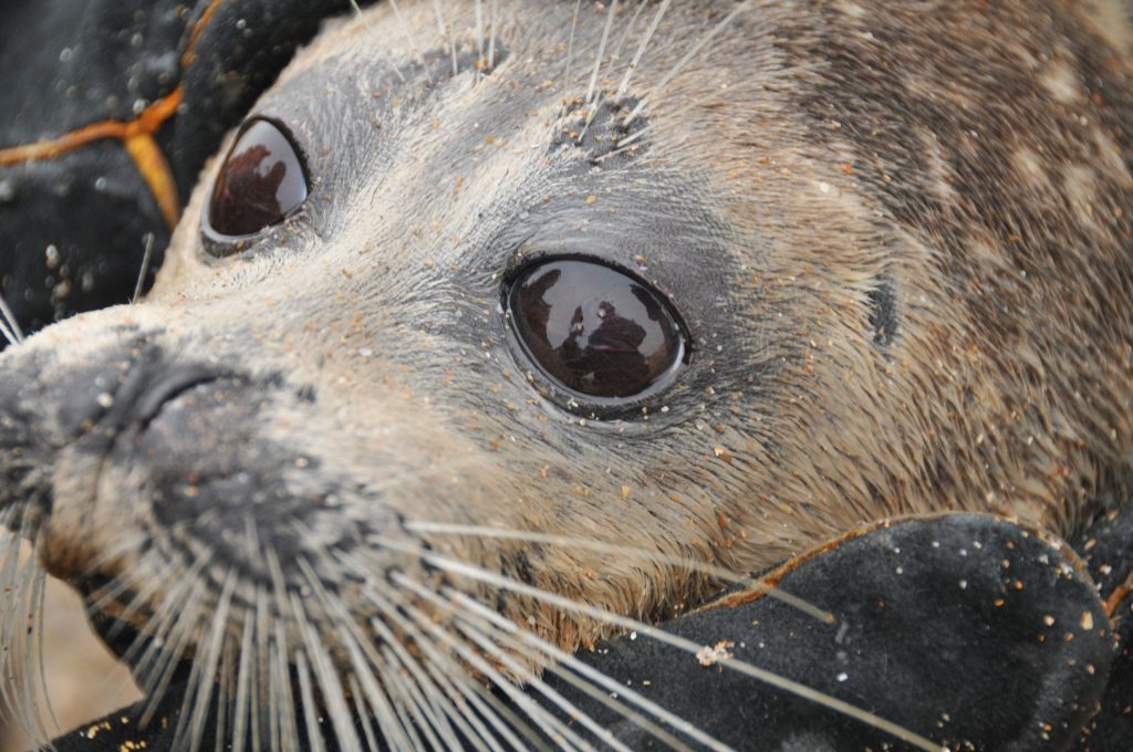 Попасть на Каспий и не исчезнуть