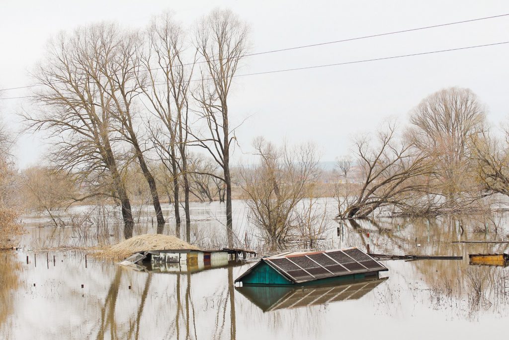 Историческое заключение Международного Суда ООН и его глобальное значение