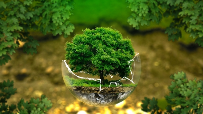 В России запускают экологический интегратор «Гриниум»