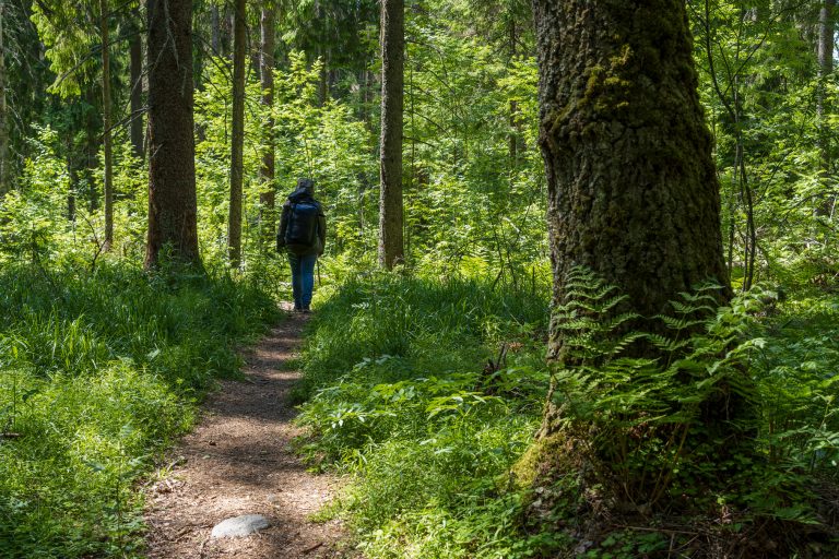Светлана Радионова: Экология – огромный рынок вакансий и возможностей