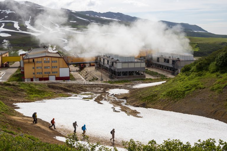 В России появится официальный экологический портал «Гриниум»