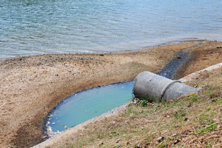 Гриниум: «Какие бывают экологические платежи и в чем их различия?»