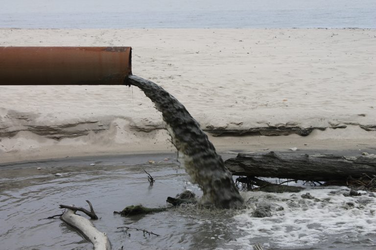 Светлана Радионова: «Каждый из вас может повлиять на будущее планеты и предотвратить диноЗавтра»