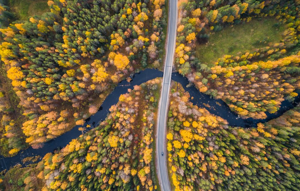 Невидимые раны зеленого сердца планеты