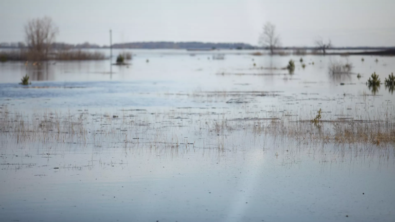 В России увеличилось число случаев загрязнения воды