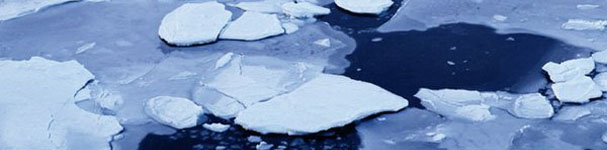 В России увеличилось число случаев загрязнения воды