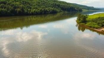 В России возросло количество случаев загрязнения водоемов