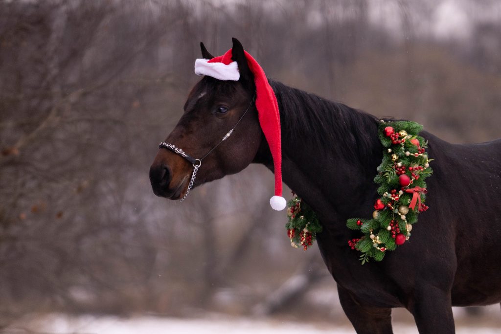 Почему в эпоху искусственного интеллекта нам как никогда нужны лошади?