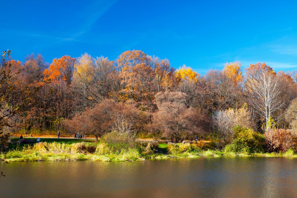 Будущее дендропарков