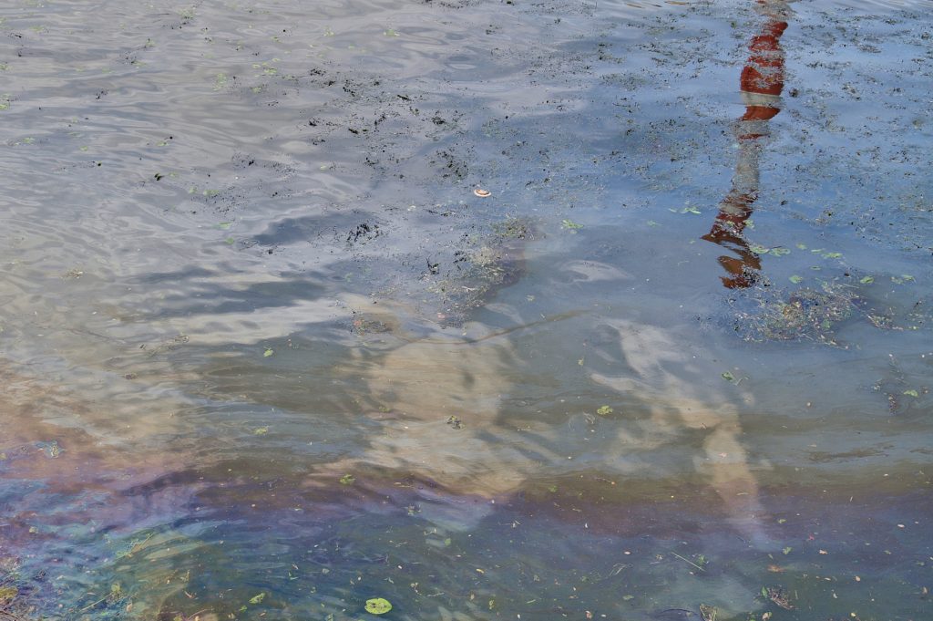 Число случаев загрязнения окружающей среды в 2025 году превысило показатели 2024 года в 1,5 раза