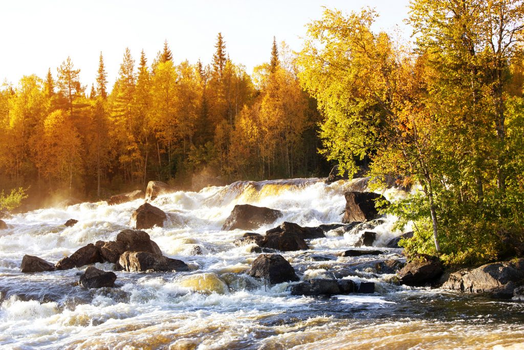 Как вода из ресурса превращается в актив